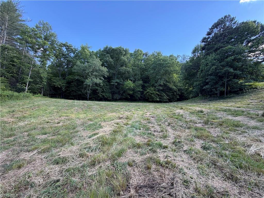 1779 Roundhill Church Road Traphill, NC 28685 - Photo 32 of 48 Gallery Image 32
