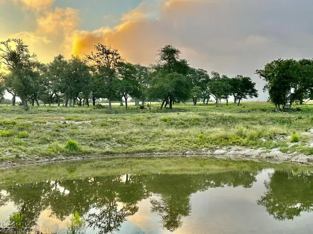 a big yard with lots of green space and trees in the background