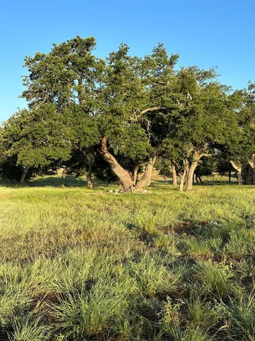 $1,998,000 | 171 Flowering Sage Lane, Comfort, TX 78013