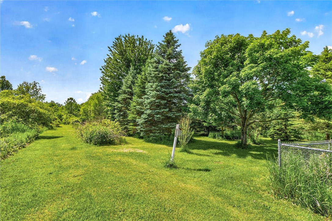 479 Churchville Riga Road Riga, NY 14428 - Photo 45 of 50