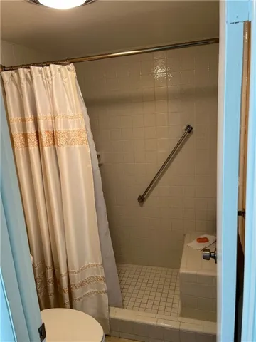 a bathroom with a shower and toilet
