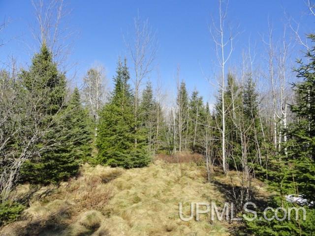 12886 Old 41 Road Baraga, MI 49908 - Photo 9 of 18 Gallery Image 9