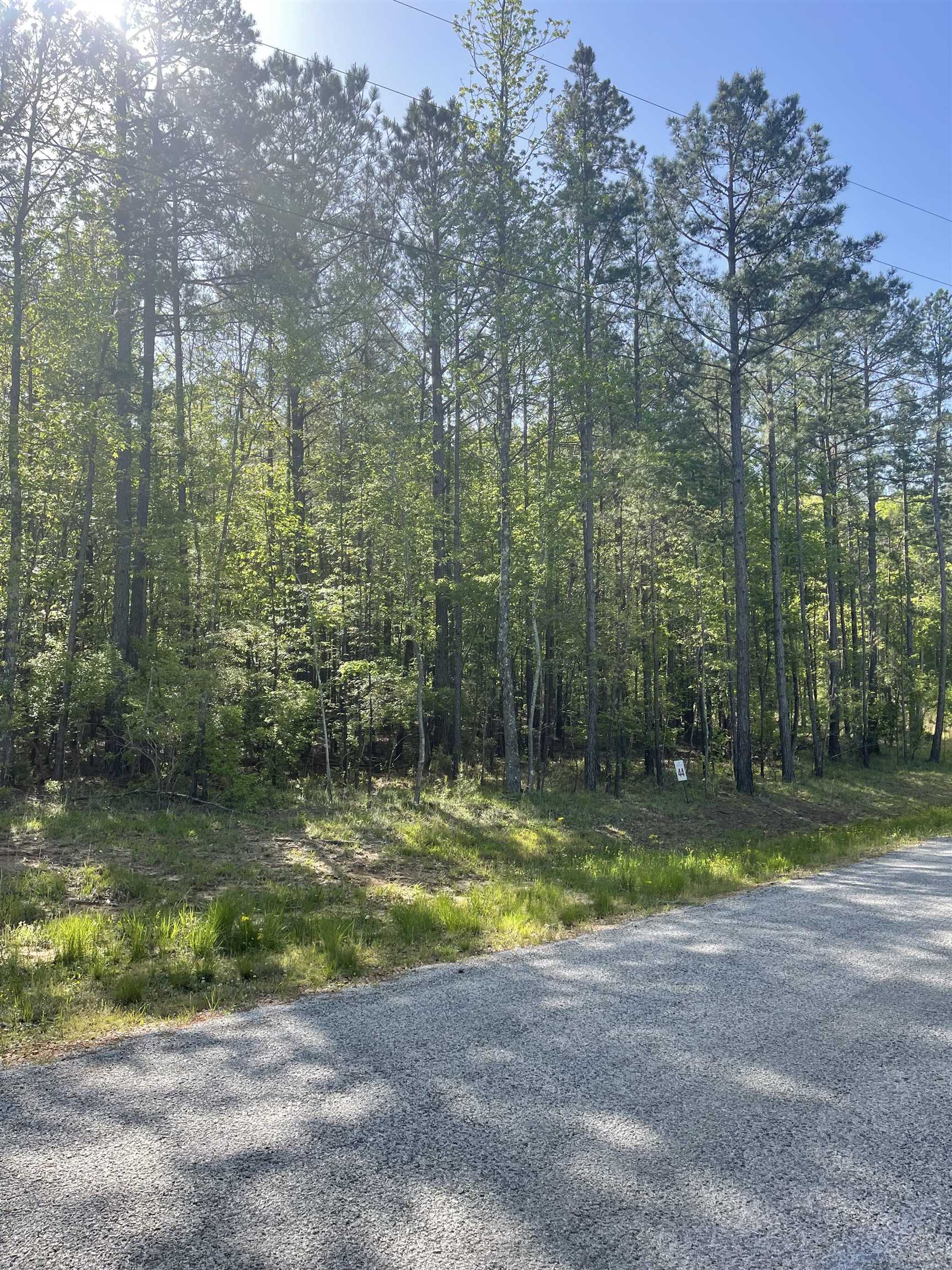Lot 44 Timber Ridge Drive Counce, TN 38326 - Photo 2 of 6 Gallery Image 2
