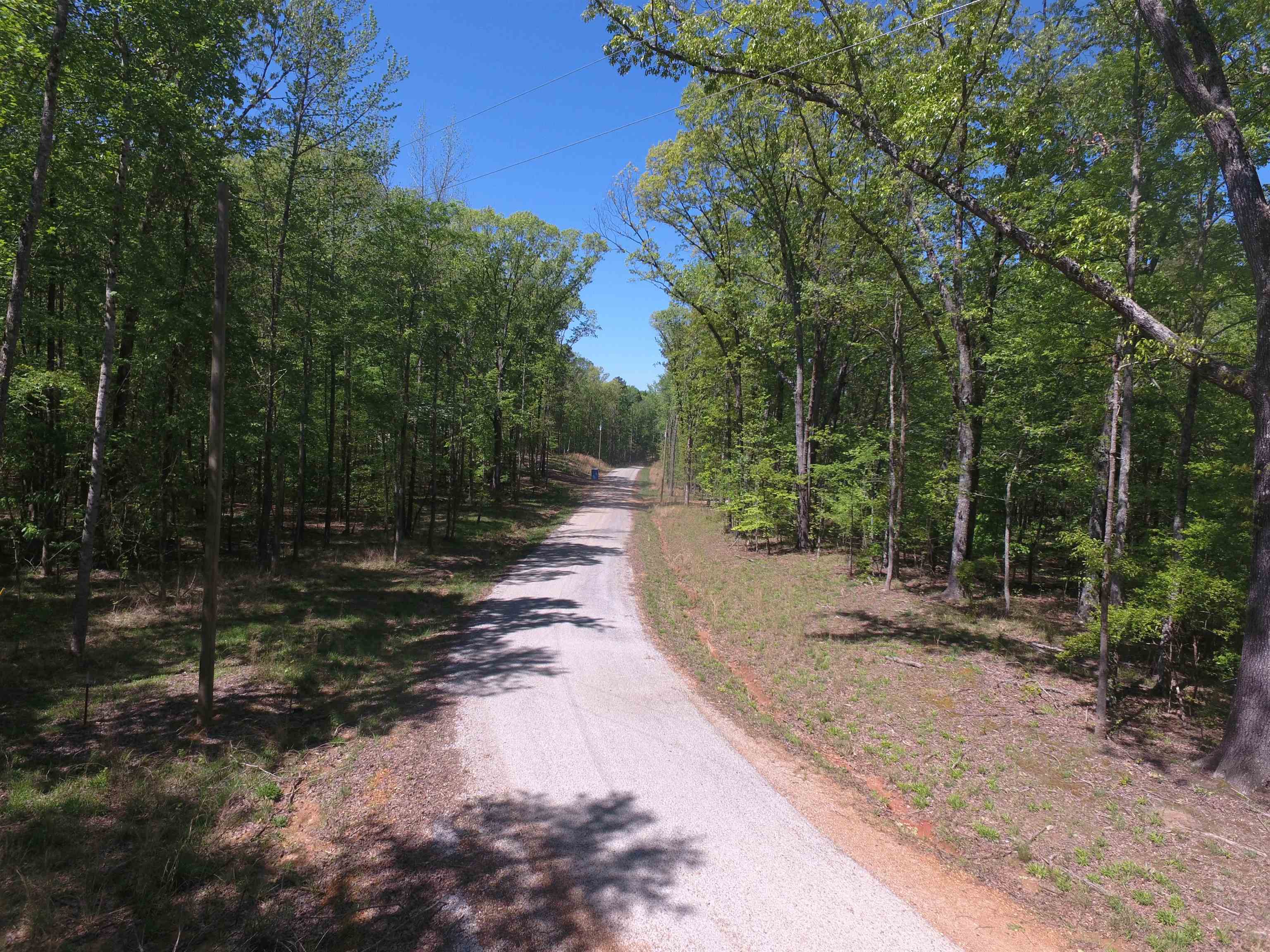 Lot 44 Timber Ridge Drive Counce, TN 38326 - Photo 4 of 6 Gallery Image 4