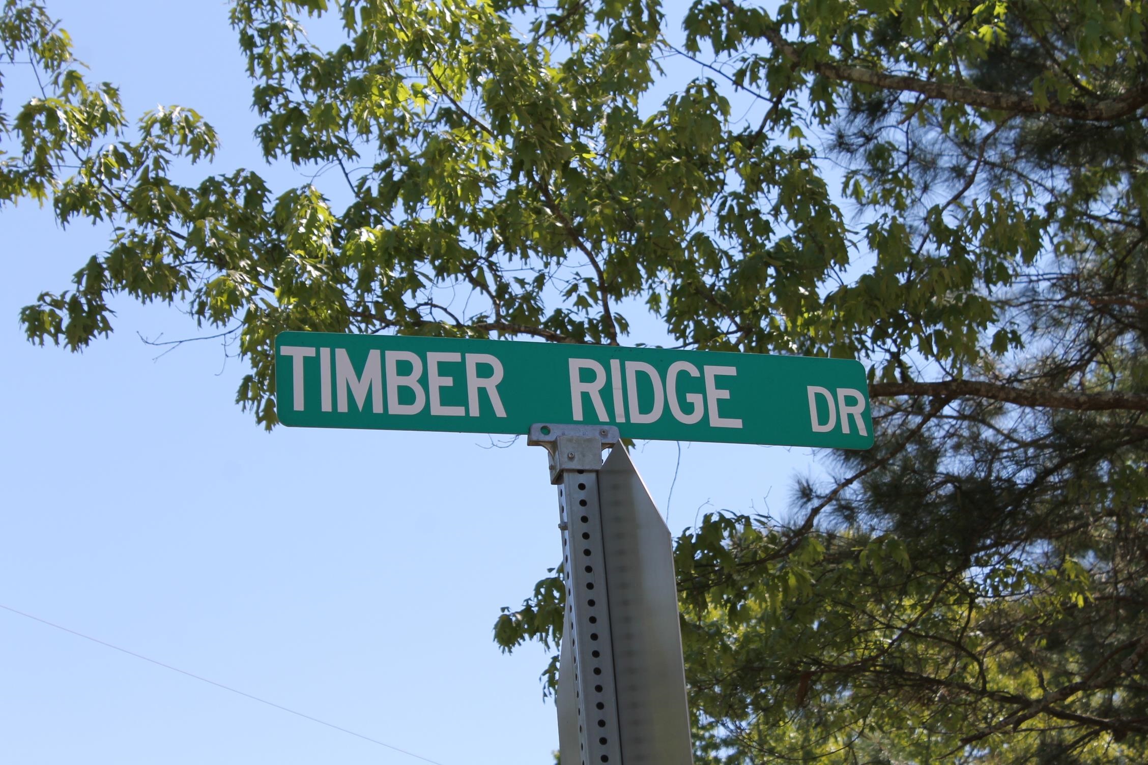 Lot 44 Timber Ridge Drive Counce, TN 38326 - Photo 5 of 6 Gallery Image 5