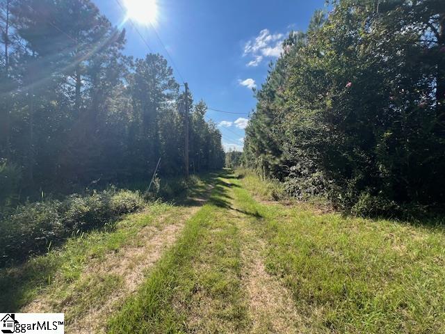 5295 Old Milton Road Clinton, SC 29325 - Photo 3 of 9