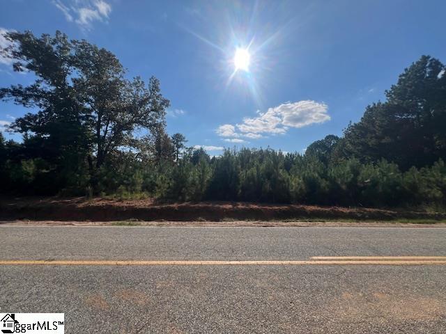 5295 Old Milton Road Clinton, SC 29325 - Photo 6 of 9