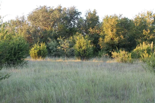 a view of a lake with a yard and large trees