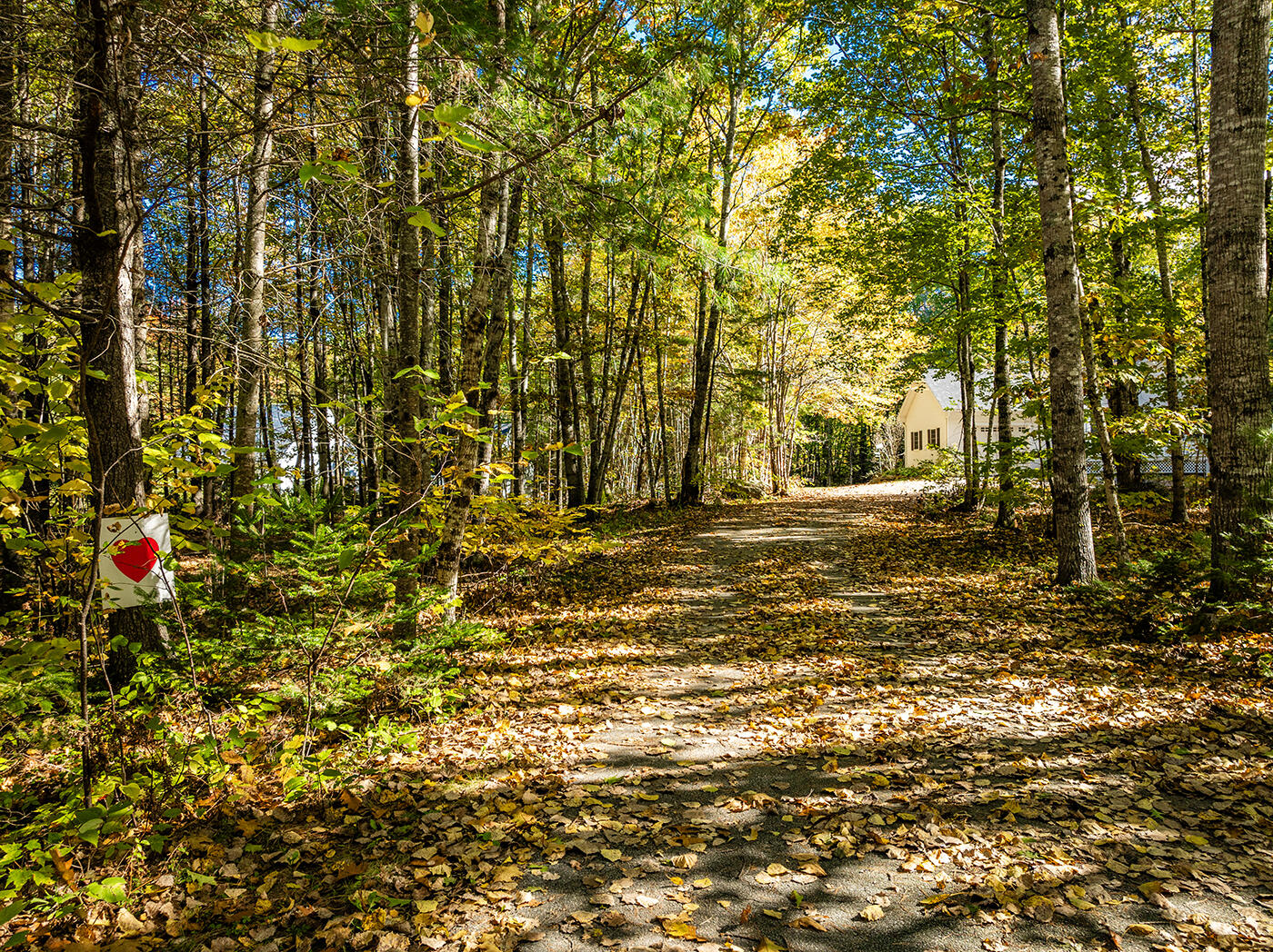 27 True Road Lincolnville, ME 04849 - Photo 35 of 36 DJI_0930