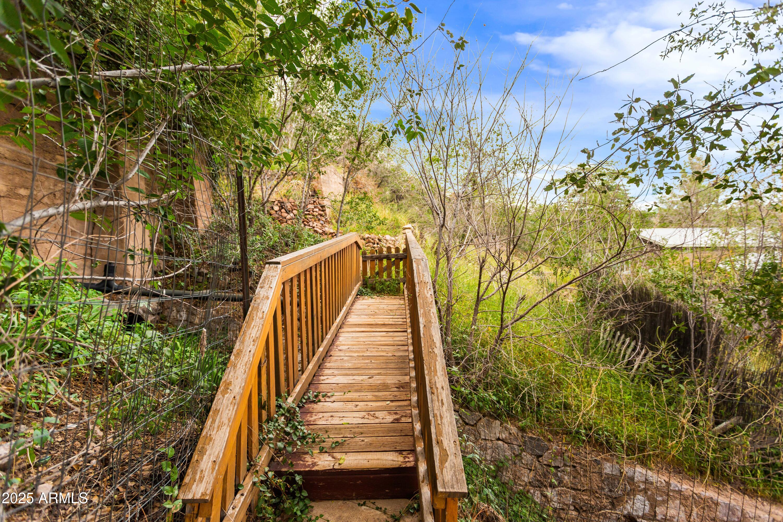 428 Brophy Avenue, Unit D Bisbee, AZ 85603 - Photo 9 of 40 a view of a yard with plants