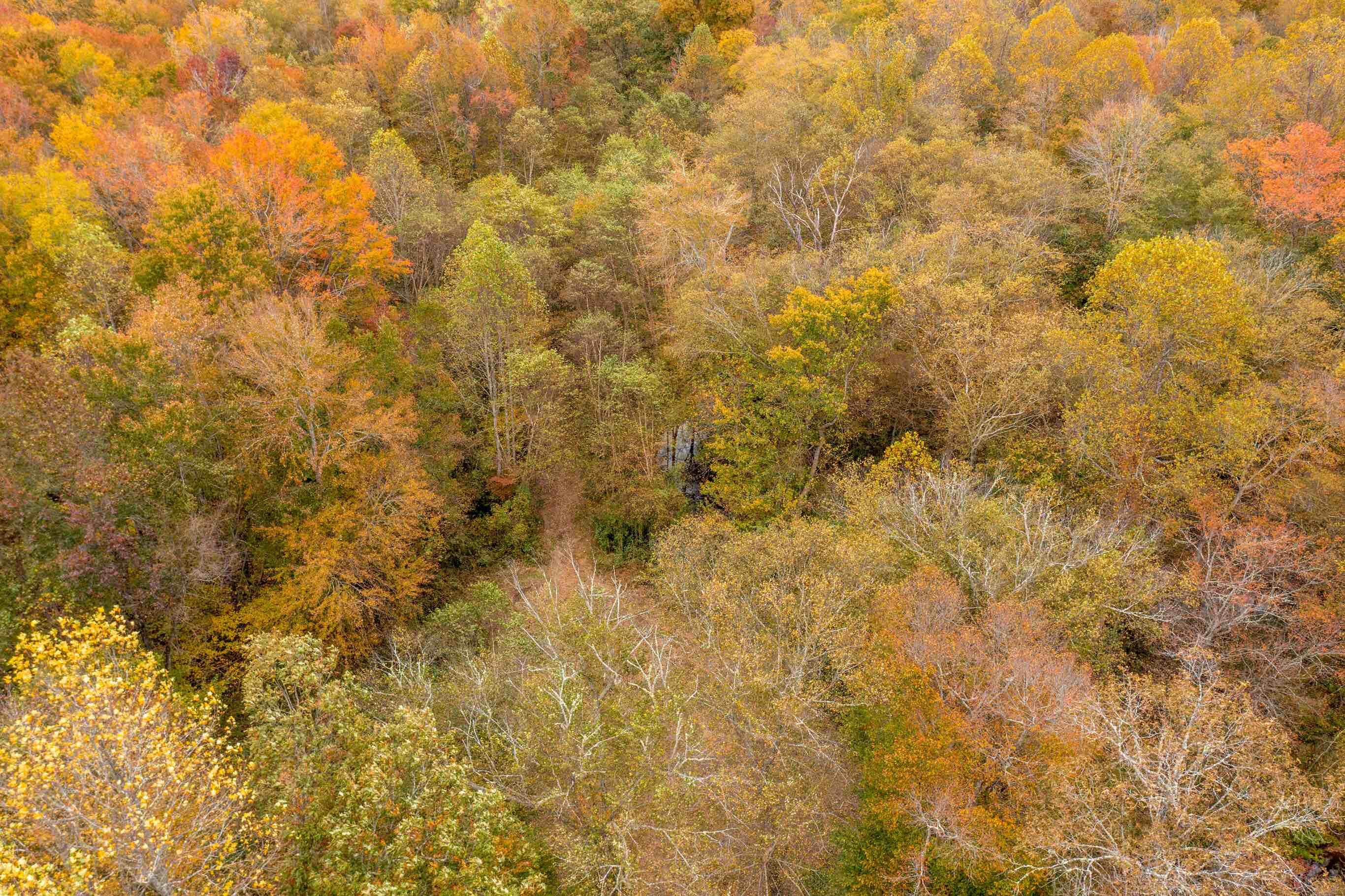 0 Blackwater Road London, KY 40744 - Photo 19 of 22 036
