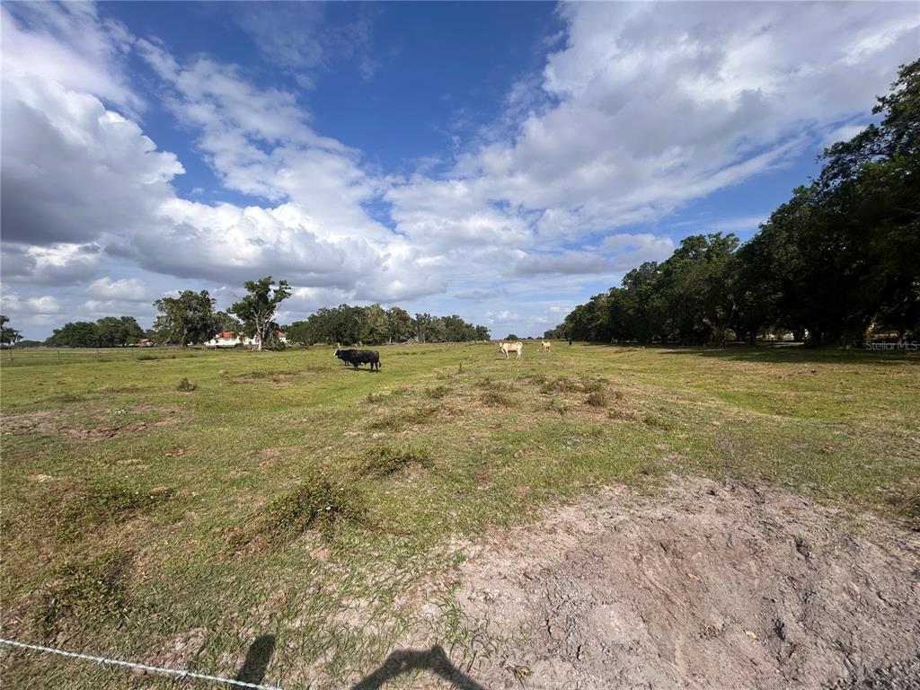Washington Street Arcadia, FL 34266 - Photo 8 of 9 a view of a field with an ocean