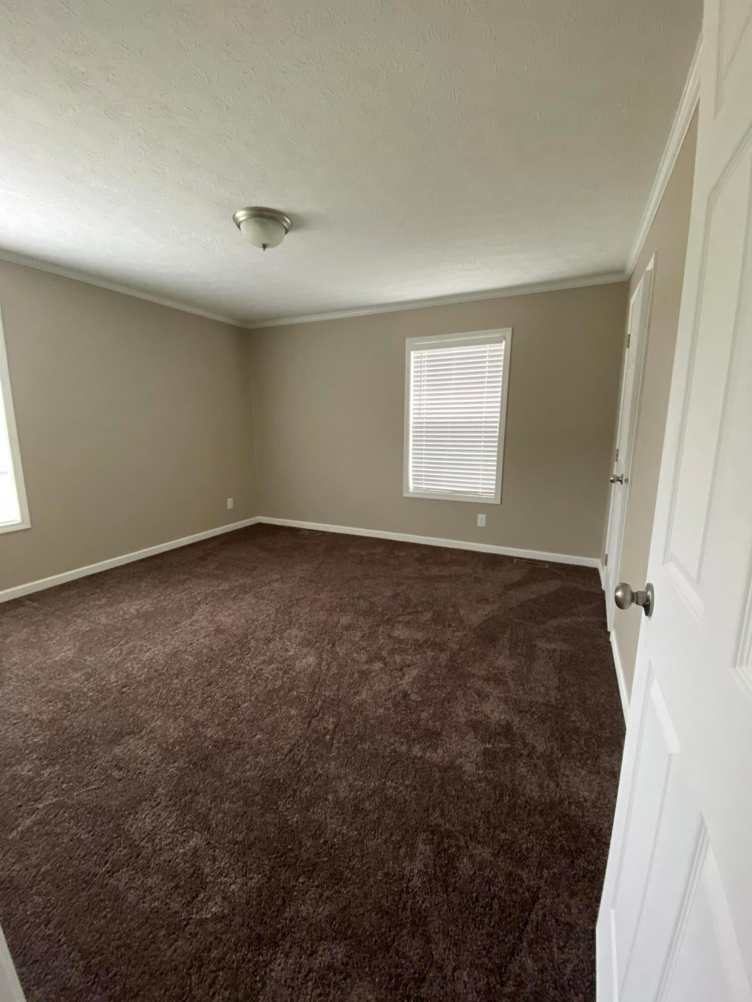 137 Lost Road Nettie, WV 26681 - Photo 10 of 39 Gallery Image 10