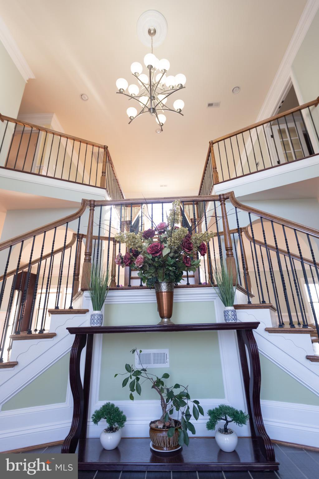 8535 Forest Street Annandale, VA 22003 - Photo 7 of 98 Main Entrance 3