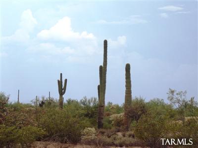 0 M South M Bar J Ranch Road Marana, AZ 85658 - Photo 2 of 6