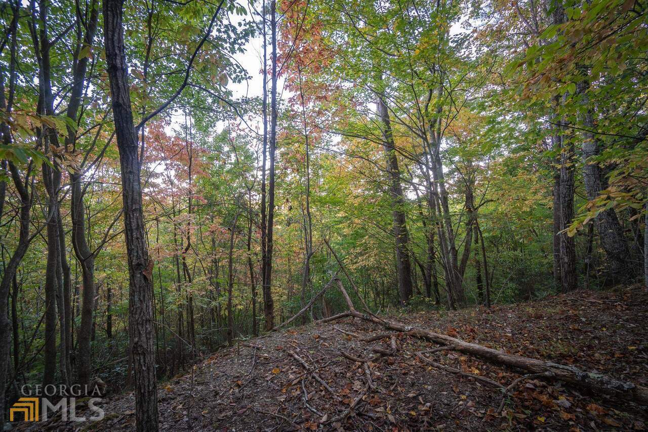 0 Mountain View Drive Cleveland, GA 30528 - Photo 17 of 29