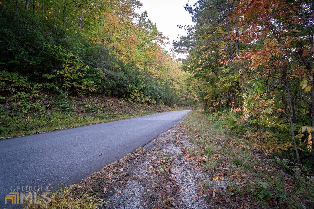 0 Mountain View Drive Cleveland, GA 30528 - Photo 21 of 29