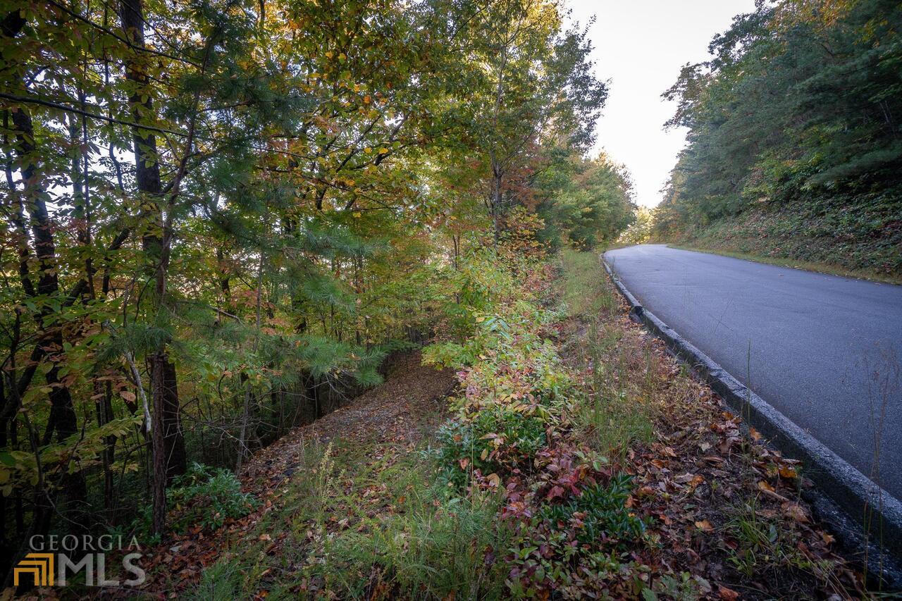 0 Mountain View Drive Cleveland, GA 30528 - Photo 23 of 29