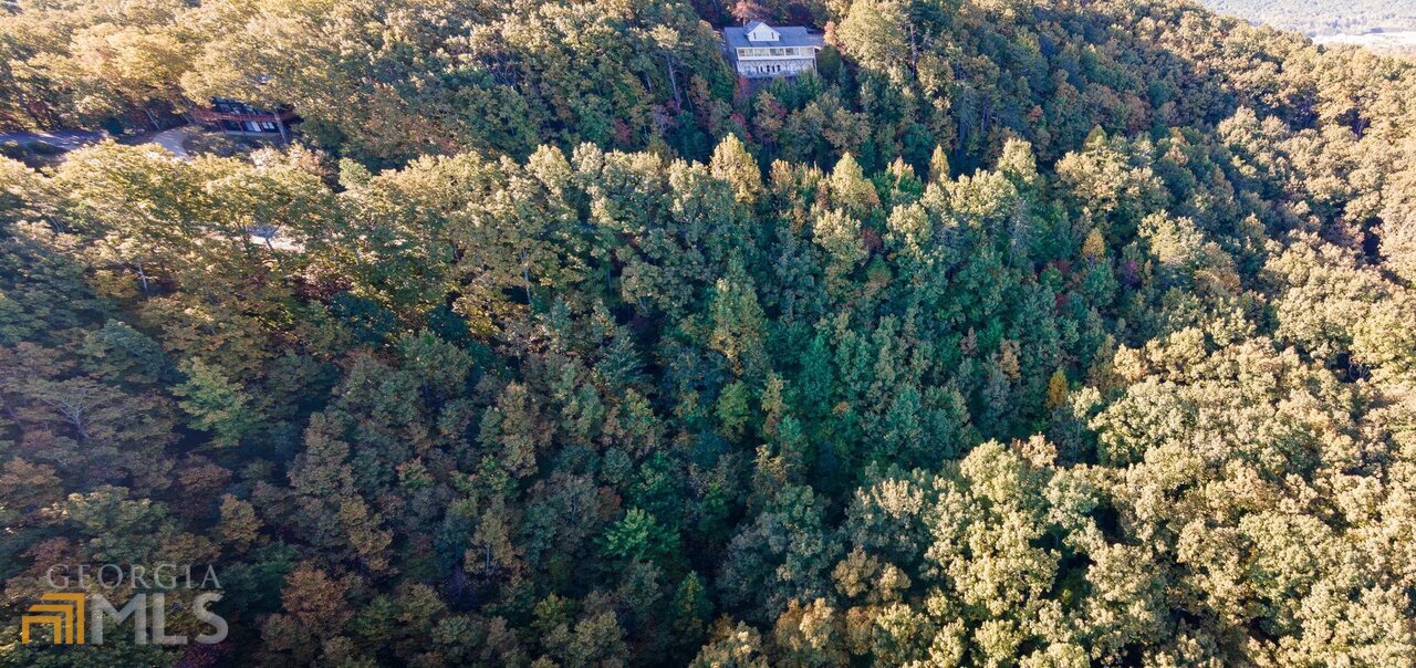 0 Mountain View Drive Cleveland, GA 30528 - Photo 24 of 29