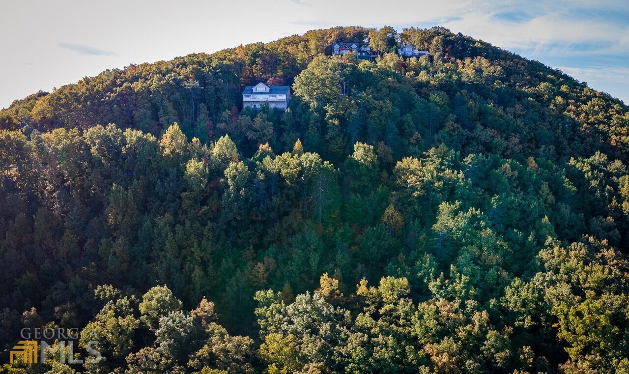 0 Mountain View Drive Cleveland, GA 30528 - Photo 25 of 29