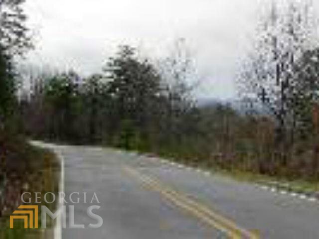 0 Mountain View Drive Cleveland, GA 30528 - Photo 28 of 29