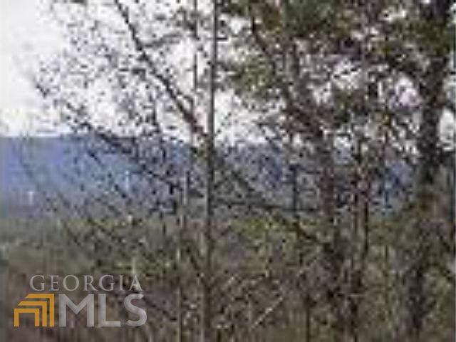 0 Mountain View Drive Cleveland, GA 30528 - Photo 29 of 29