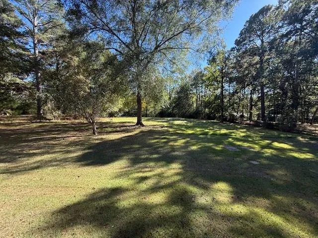 a view of outdoor space with yard