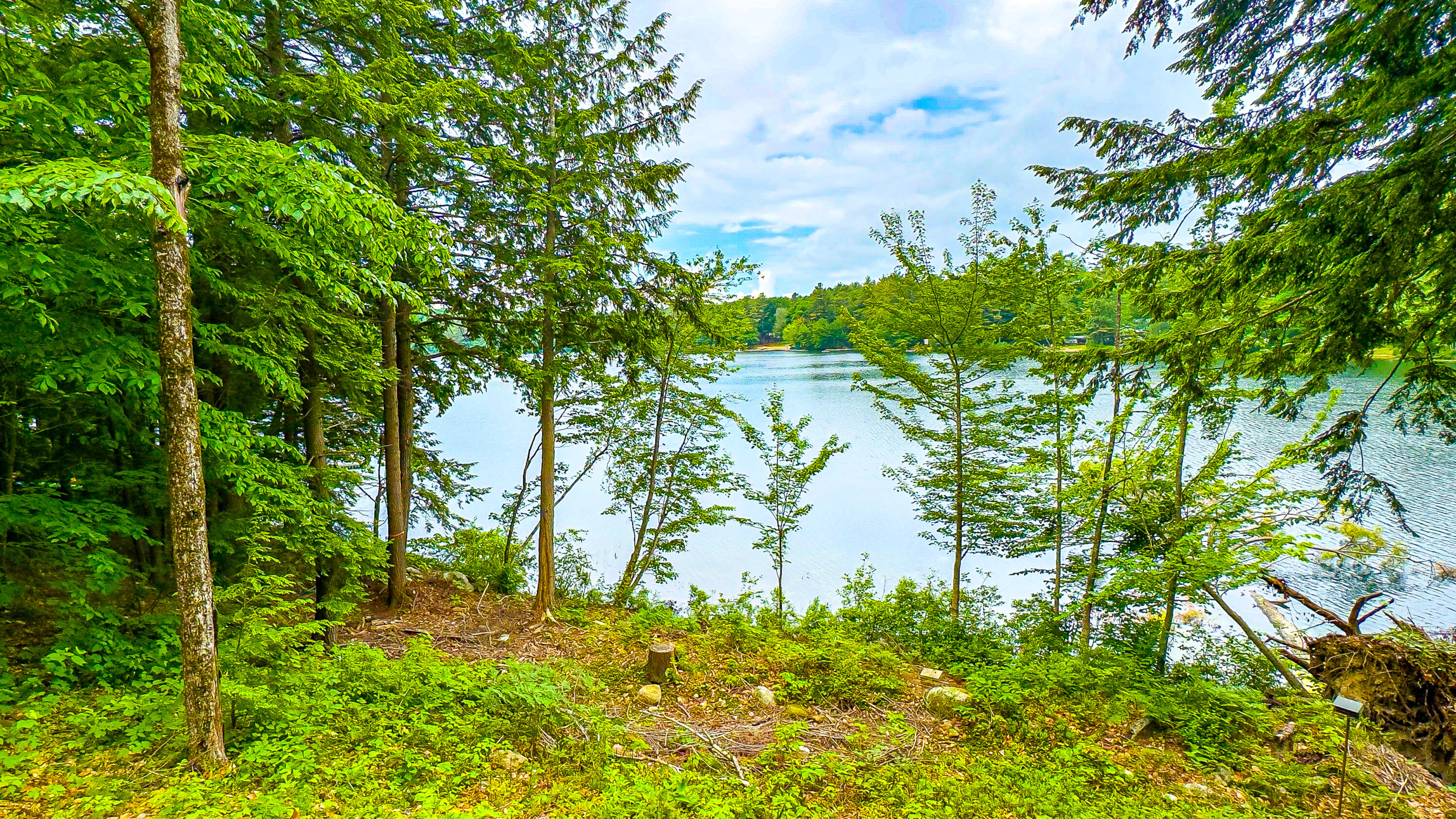 107 Coffee Pond Road Casco, ME 04015 - Photo 14 of 39 107 Coffee Pond 6-12-2024-18