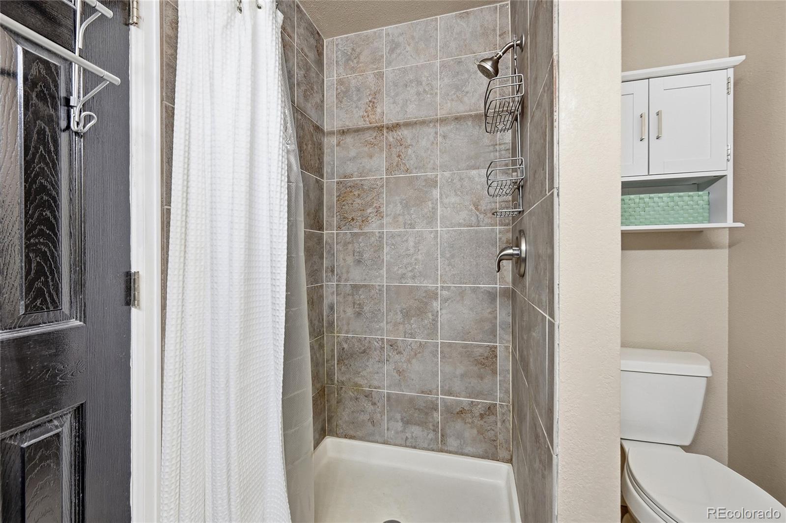 9688 Whitecliff Place Highlands Ranch, CO 80129 - Photo 18 of 36