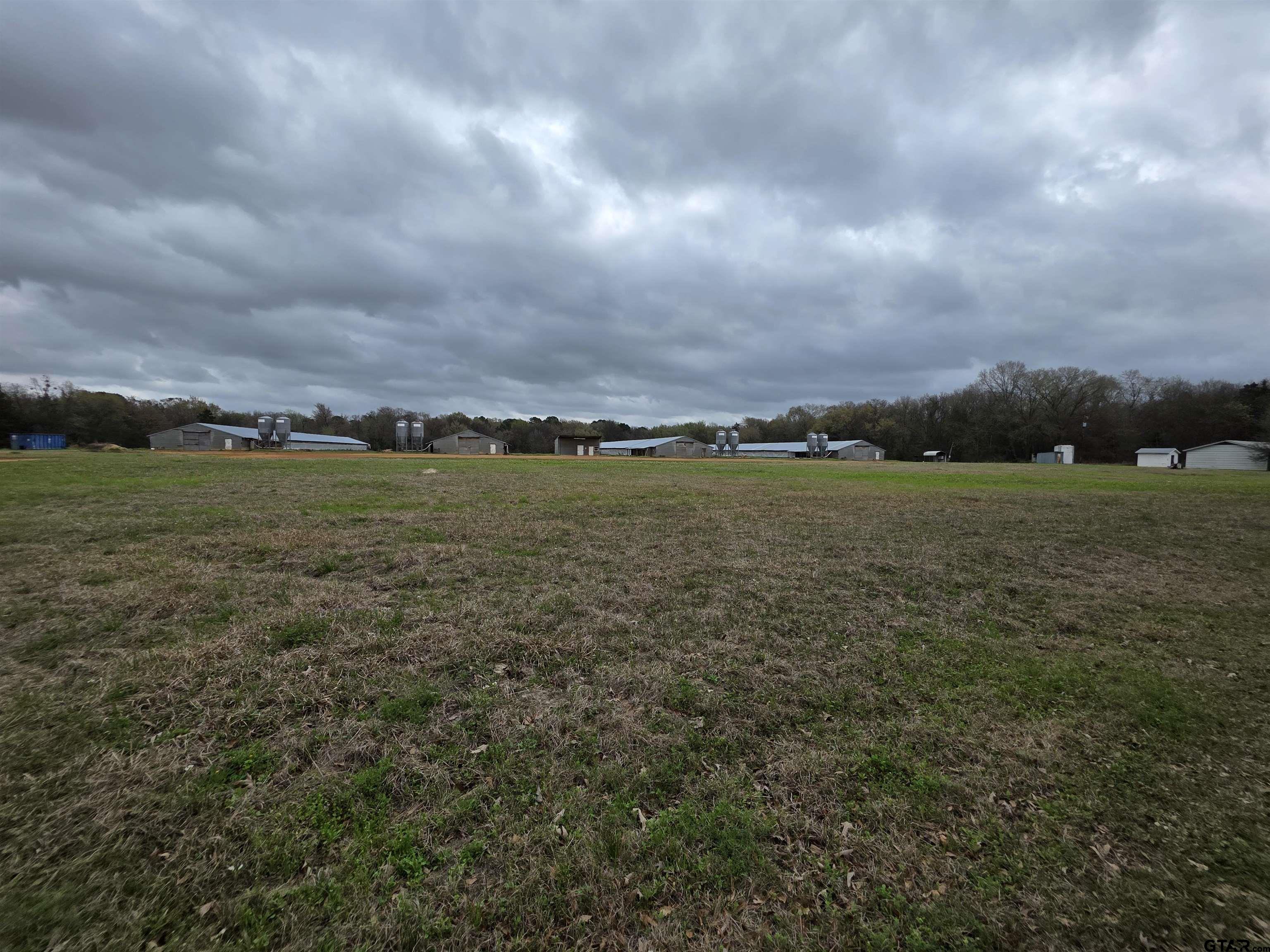 1886 Opossum Road Pittsburg, TX 75686 - Photo 21 of 22