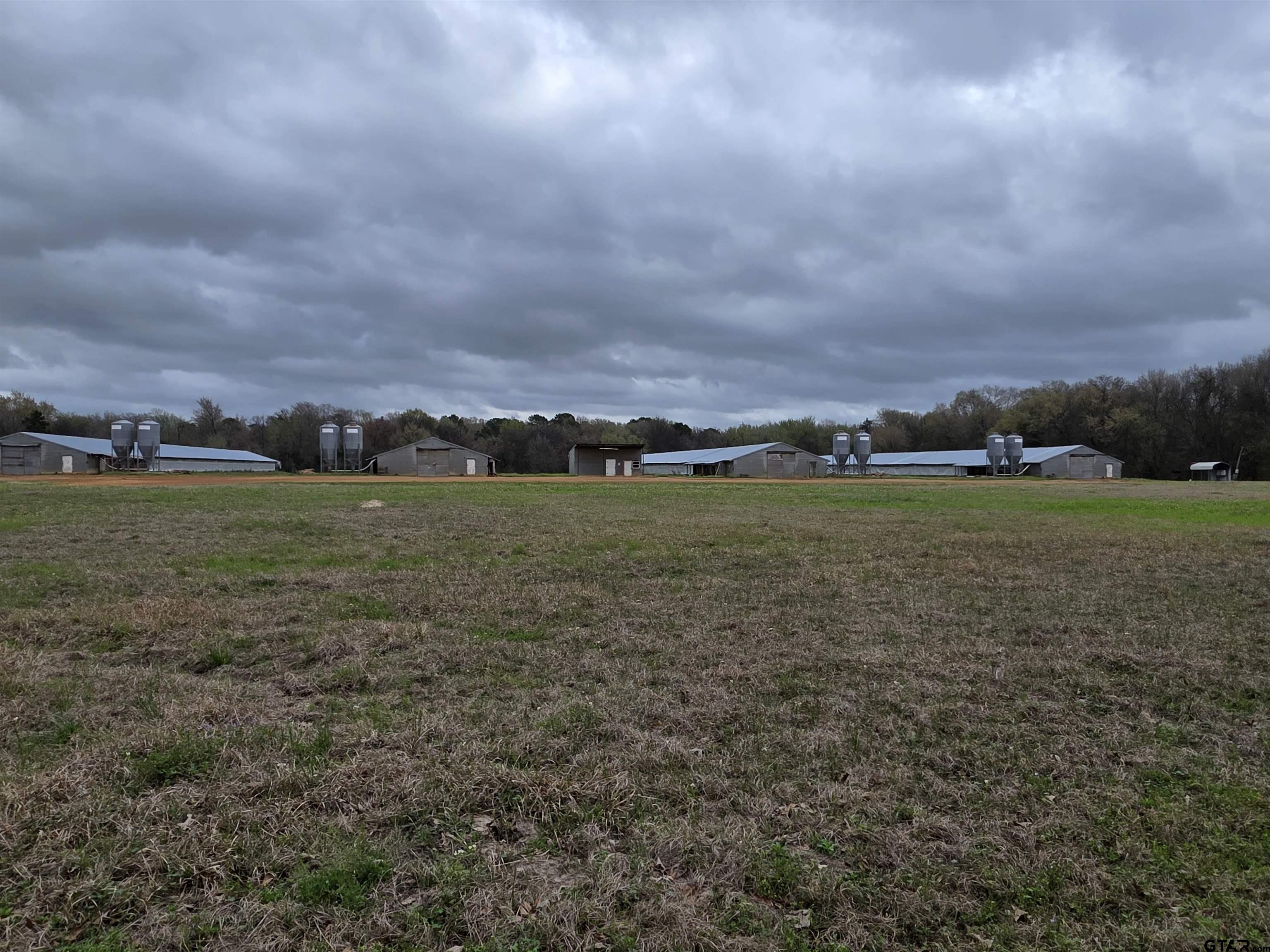 1886 Opossum Road Pittsburg, TX 75686 - Photo 22 of 22