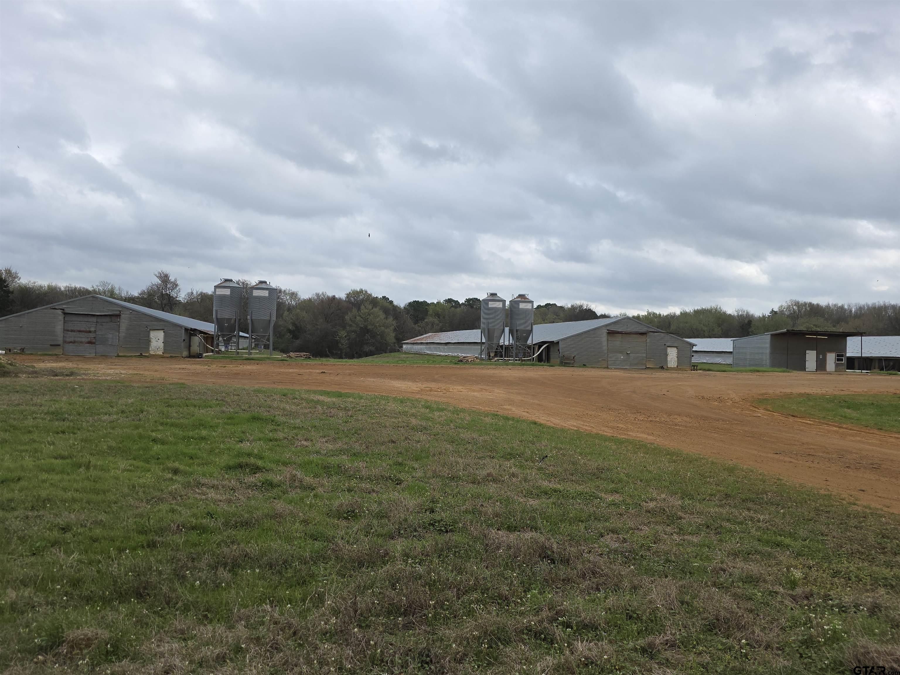 1886 Opossum Road Pittsburg, TX 75686 - Photo 6 of 22