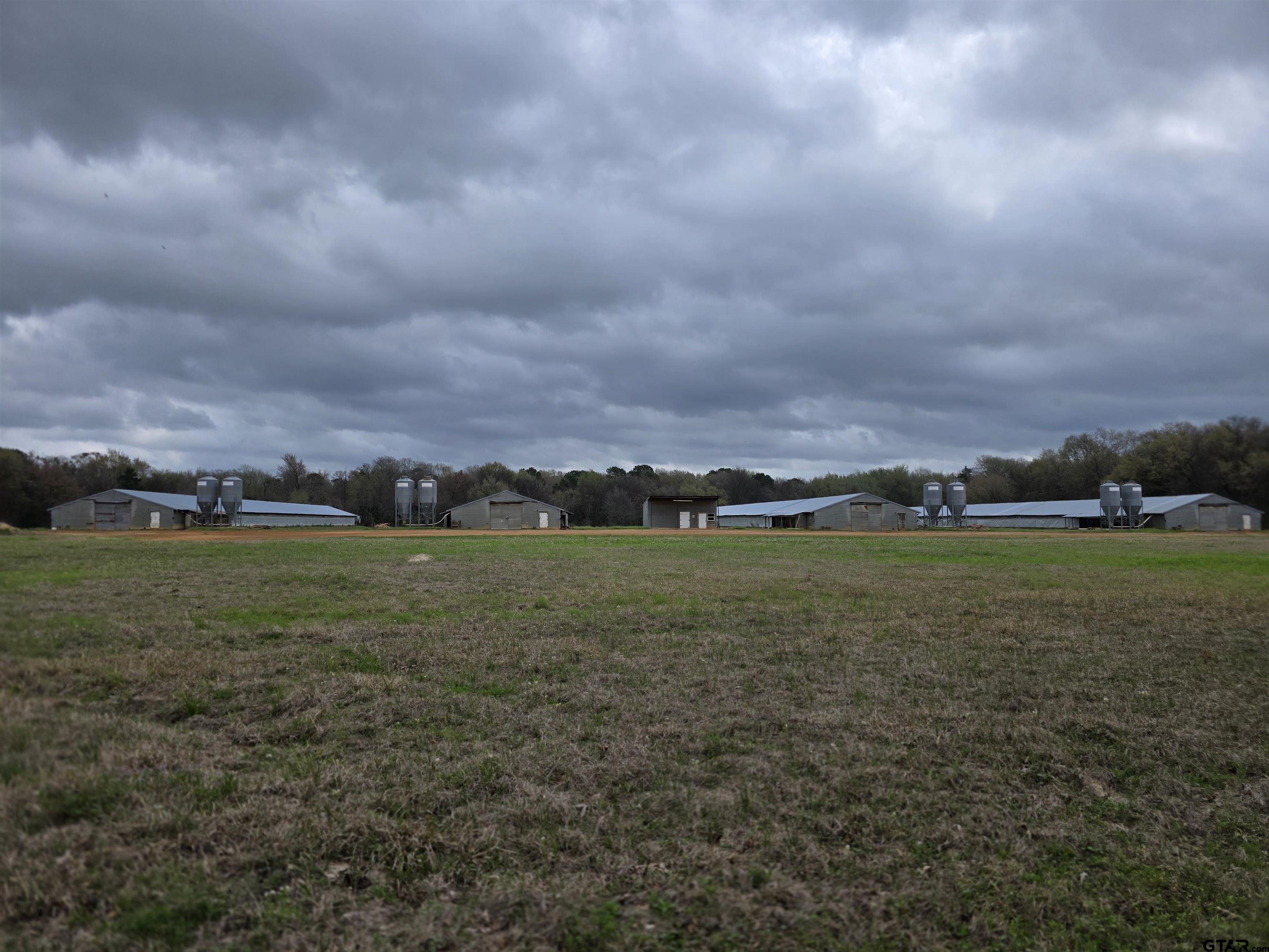 1886 Opossum Road Pittsburg, TX 75686 - Photo 9 of 22