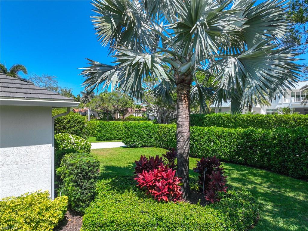 1850 Crayton Road Naples, FL 34102 - Photo 39 of 48 a view of a garden with palm trees