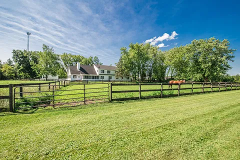 a view of a park with large trees