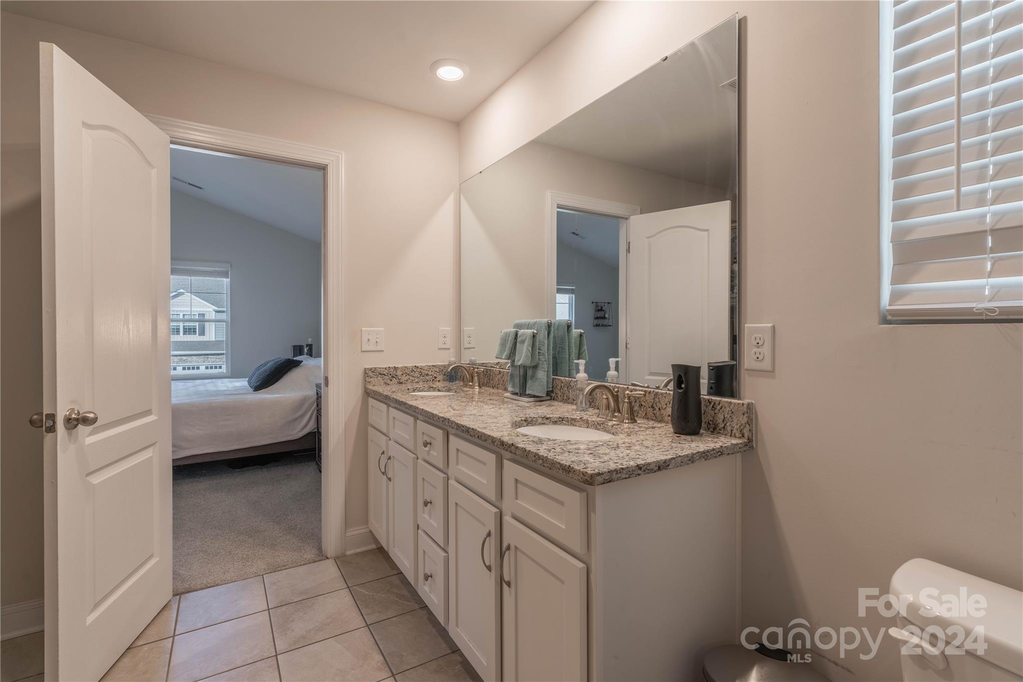 1163 Pecan Ridge Road Fort Mill, SC 29715 - Photo 18 of 34 a en suite bathroom with a granite countertop sink and a mirror