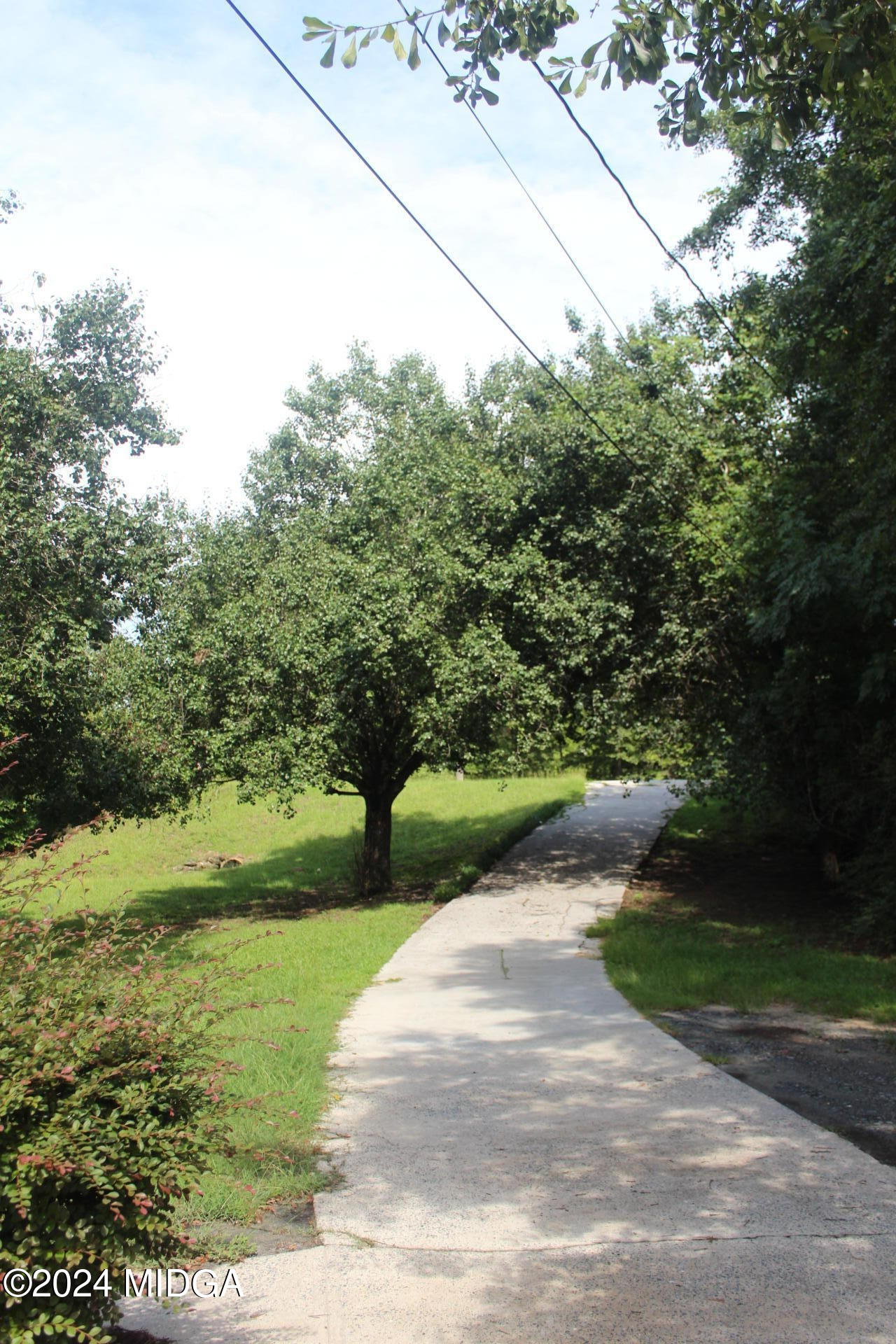 4920 Fulton Mill Road Macon, GA 31216 - Photo 3 of 39 a view of a yard with plants and large trees