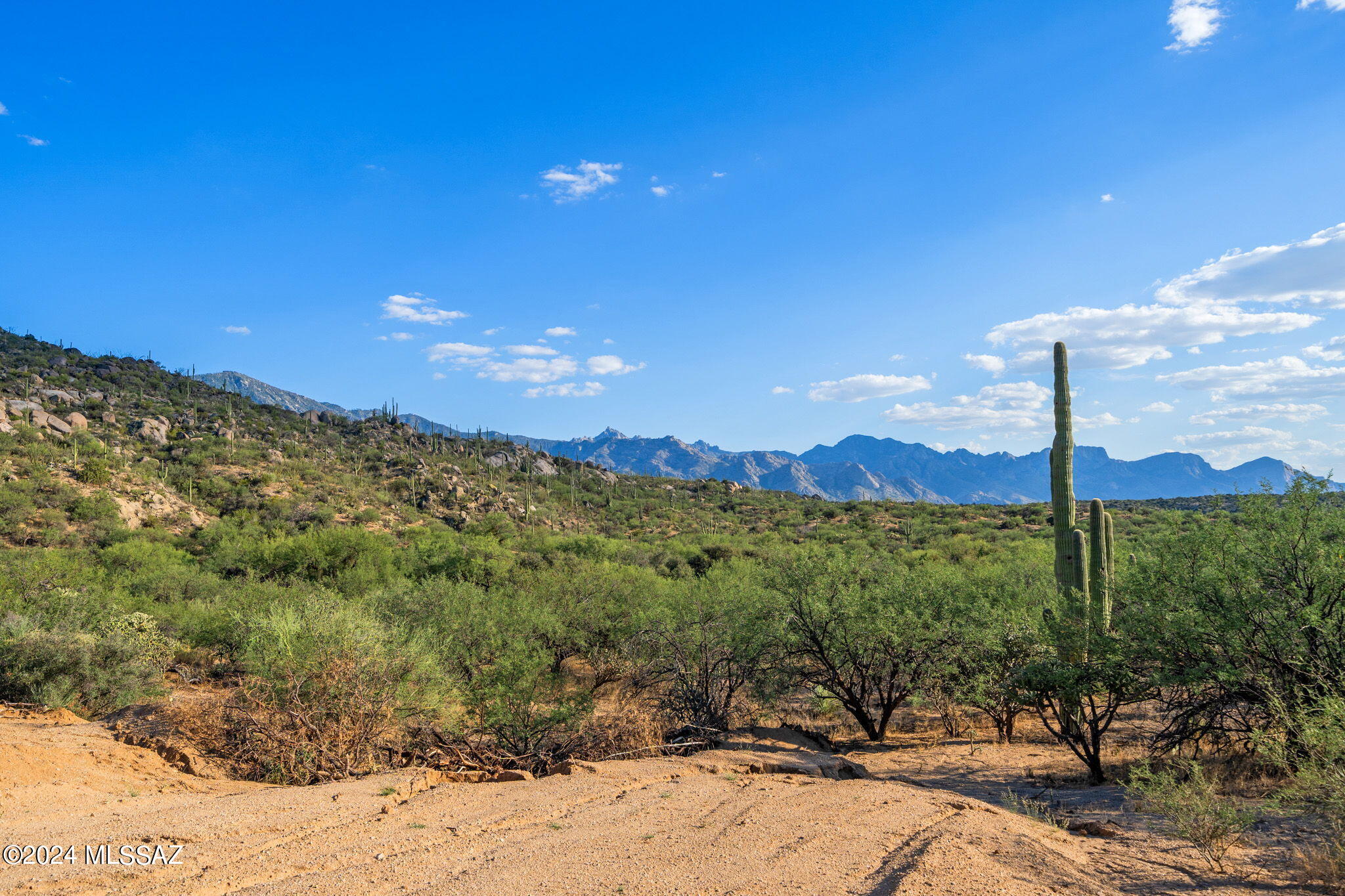 16500 North Ridge Rock Trail Tucson, AZ 85739 - Photo 5 of 29 27-web-or-mls-16500 N Ridge Rock Trail -