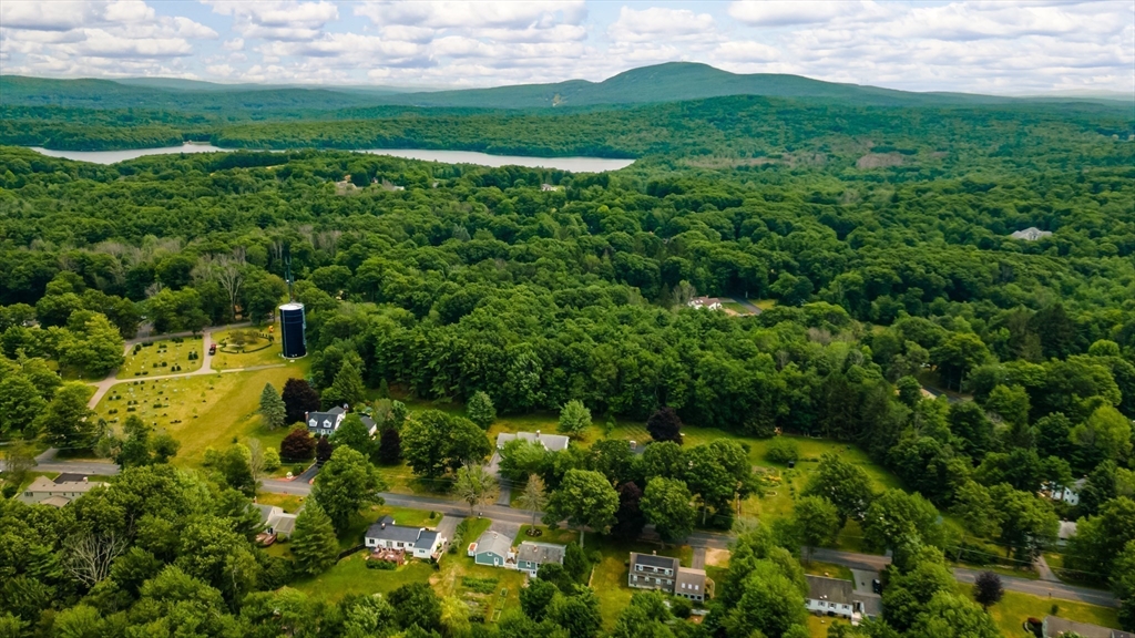 25 Ellis Road Westminster, MA 01473 - Photo 31 of 32 a view of a lush green forest with lots of trees