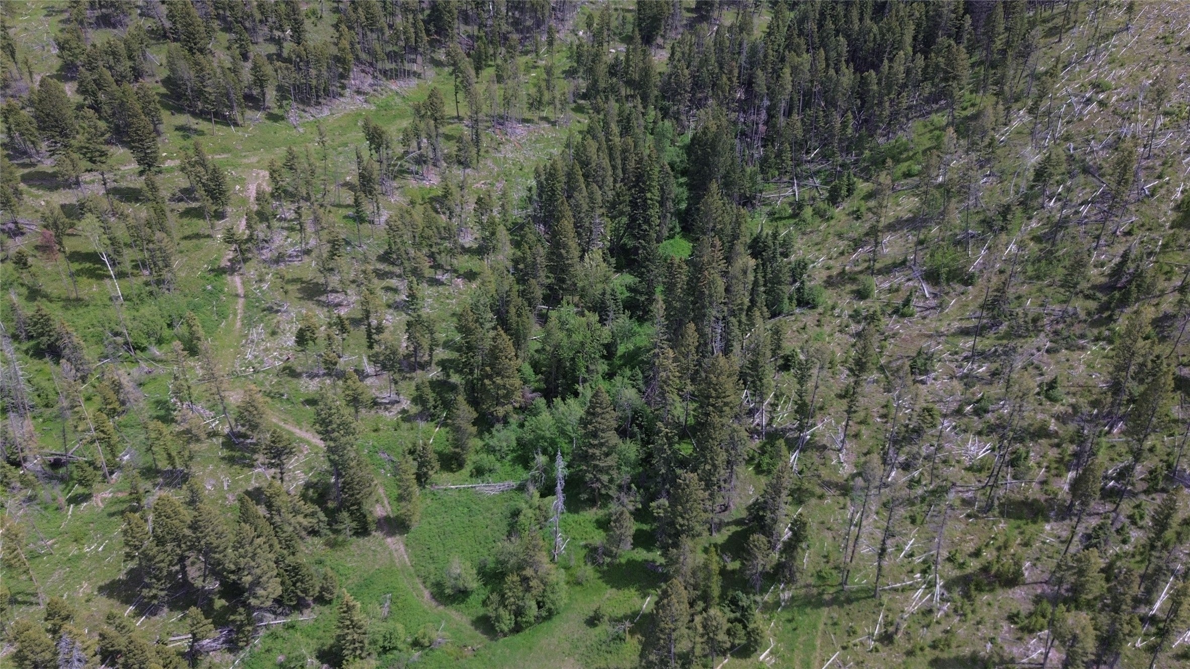 3595 Bear Gulch Road Lincoln, MT 59639 - Photo 50 of 57 Gallery Image 50