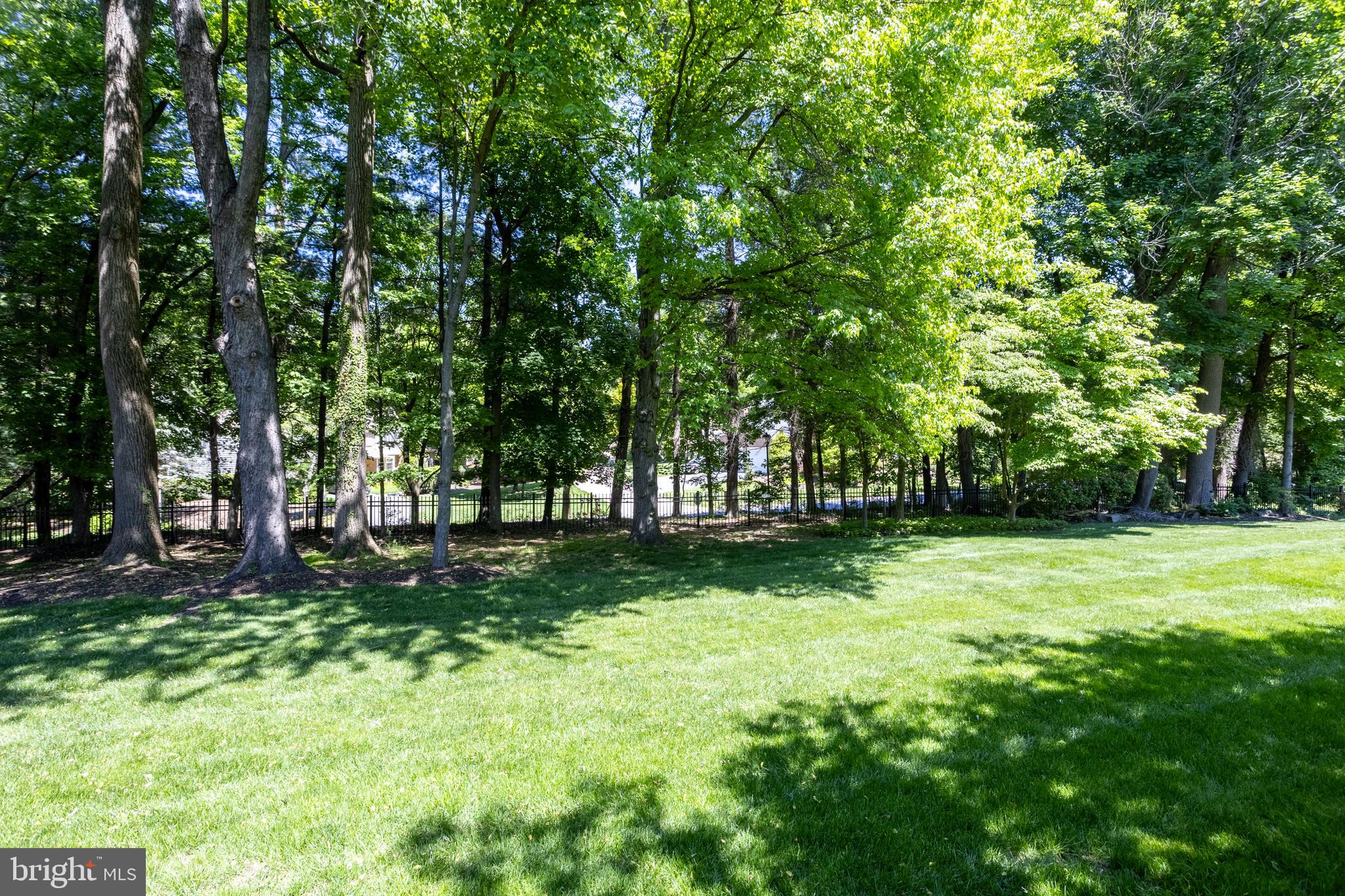 63 Raisin Tree Circle Baltimore, MD 21208 - Photo 54 of 57 a view of a trees in a yard