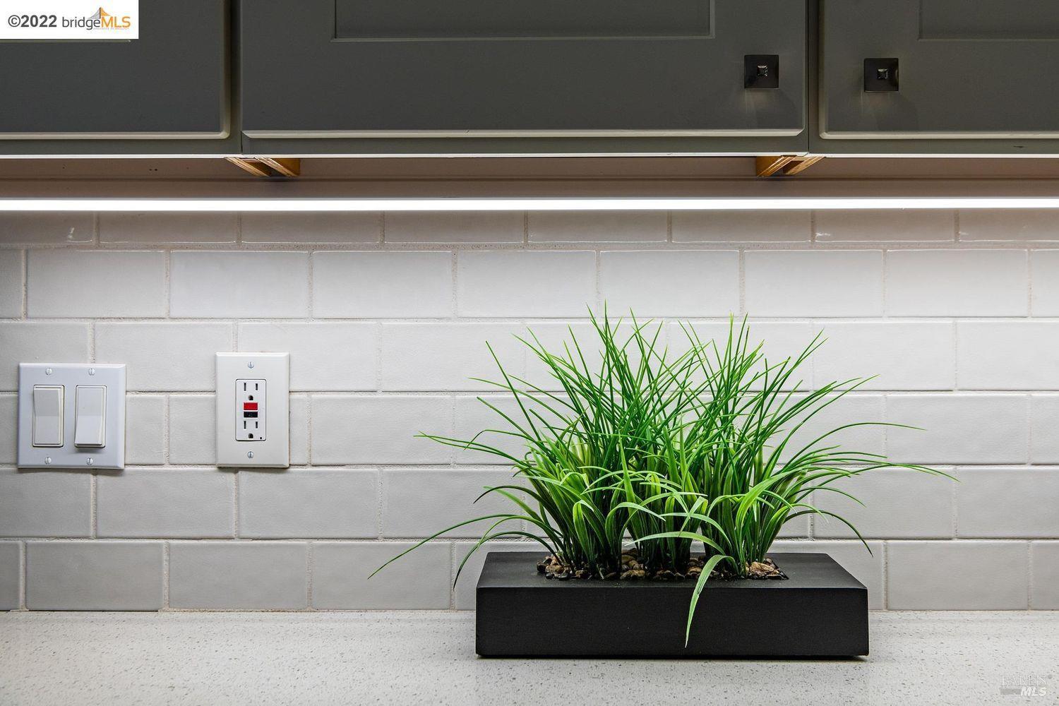 2021 Key Boulevard El Cerrito, CA 94530 - Photo 7 of 30 a potted plant sitting on a window sill and a sink
