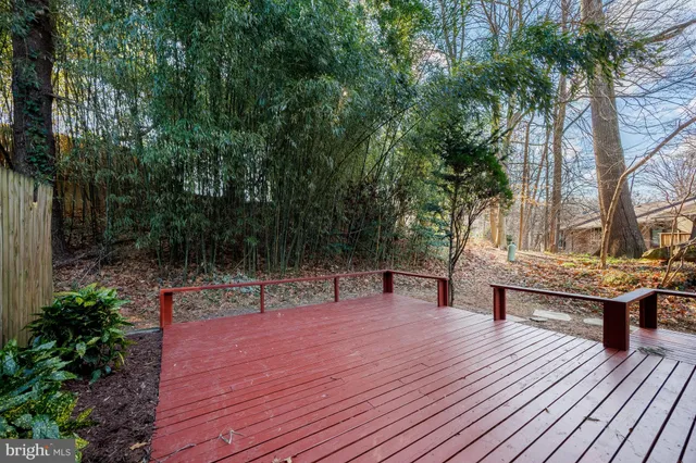 a park view with a wooden bench and trees
