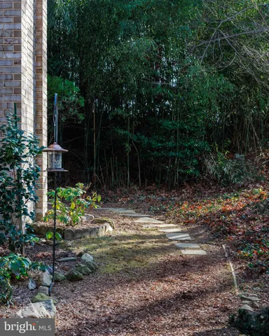 a view of a yard with plants and trees