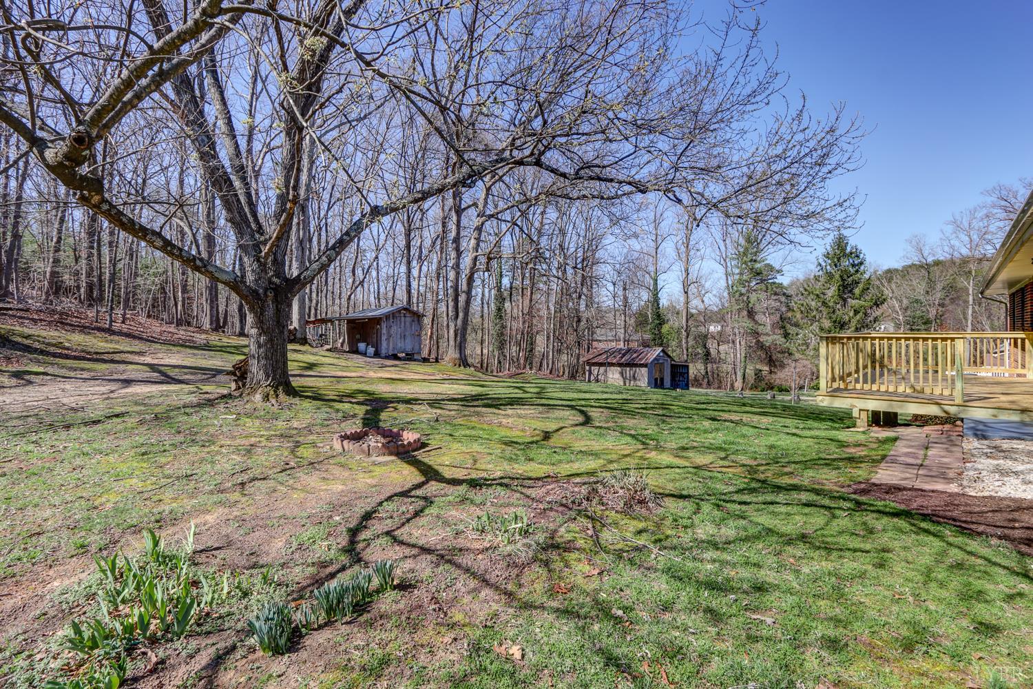 303 Grove Street Hurt, VA 24563 - Photo 41 of 51 a view of yard with tree