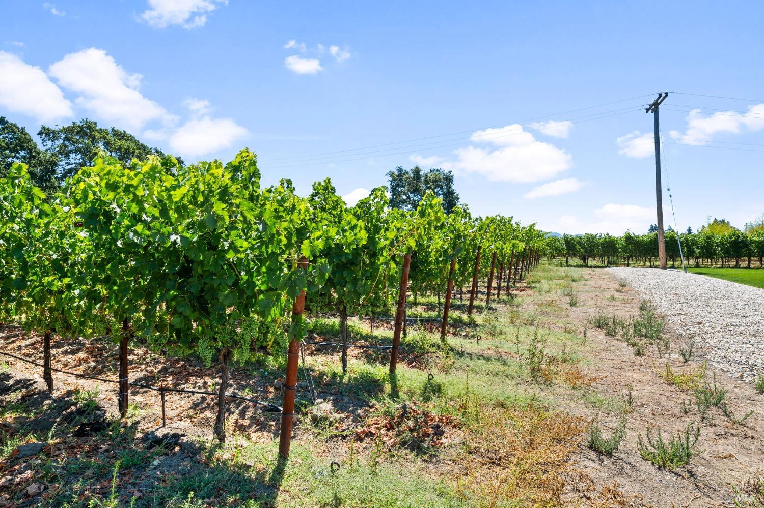 3140 Big Ranch Road Napa, CA 94558 - Photo 48 of 59