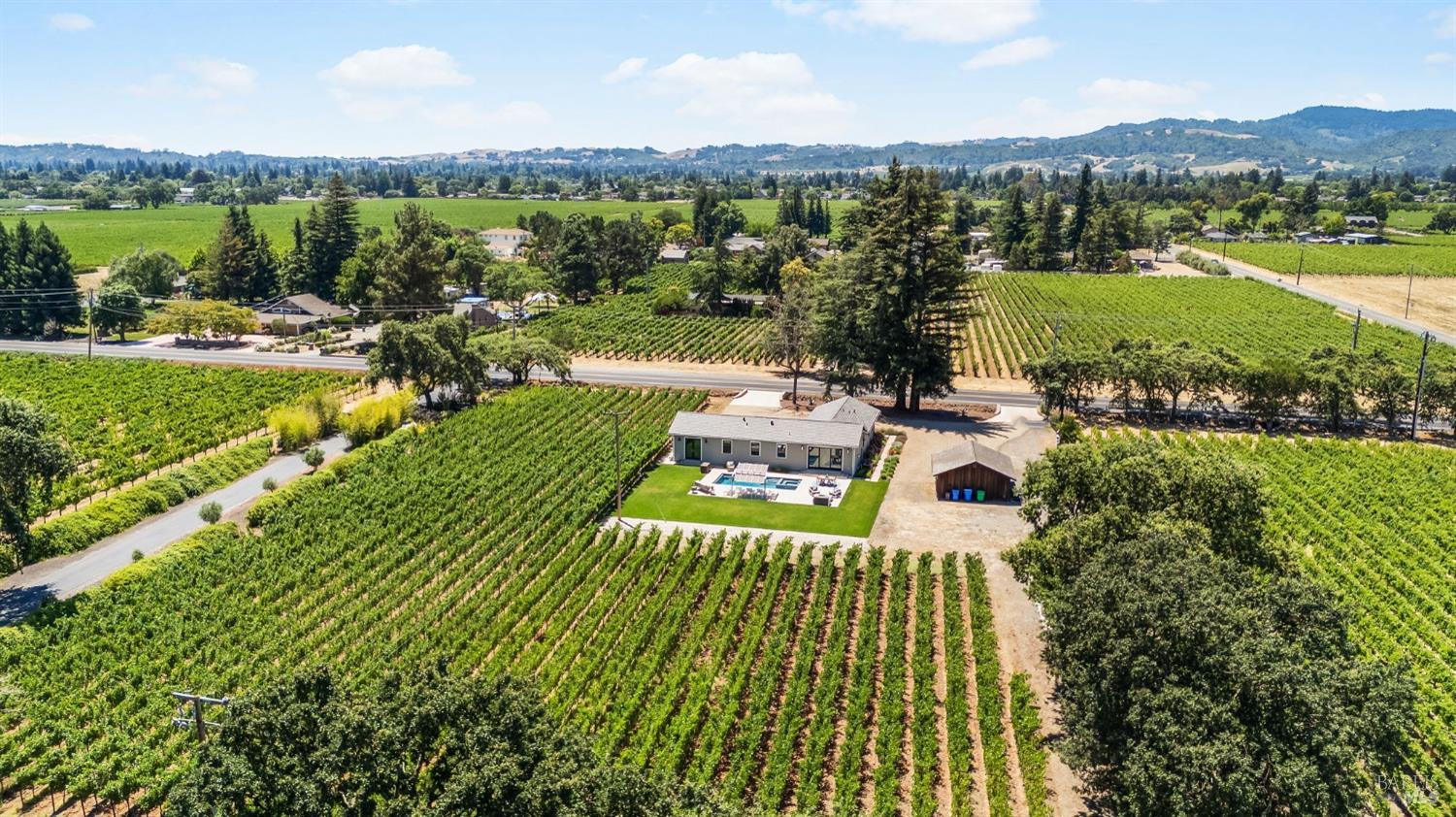 3140 Big Ranch Road Napa, CA 94558 - Photo 50 of 59 Complete backyard privacy surrounded by vineyards.
