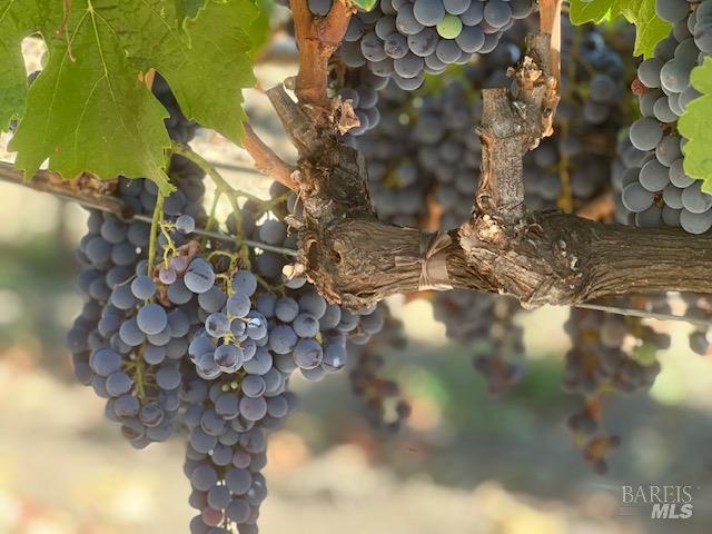3140 Big Ranch Road Napa, CA 94558 - Photo 59 of 59
