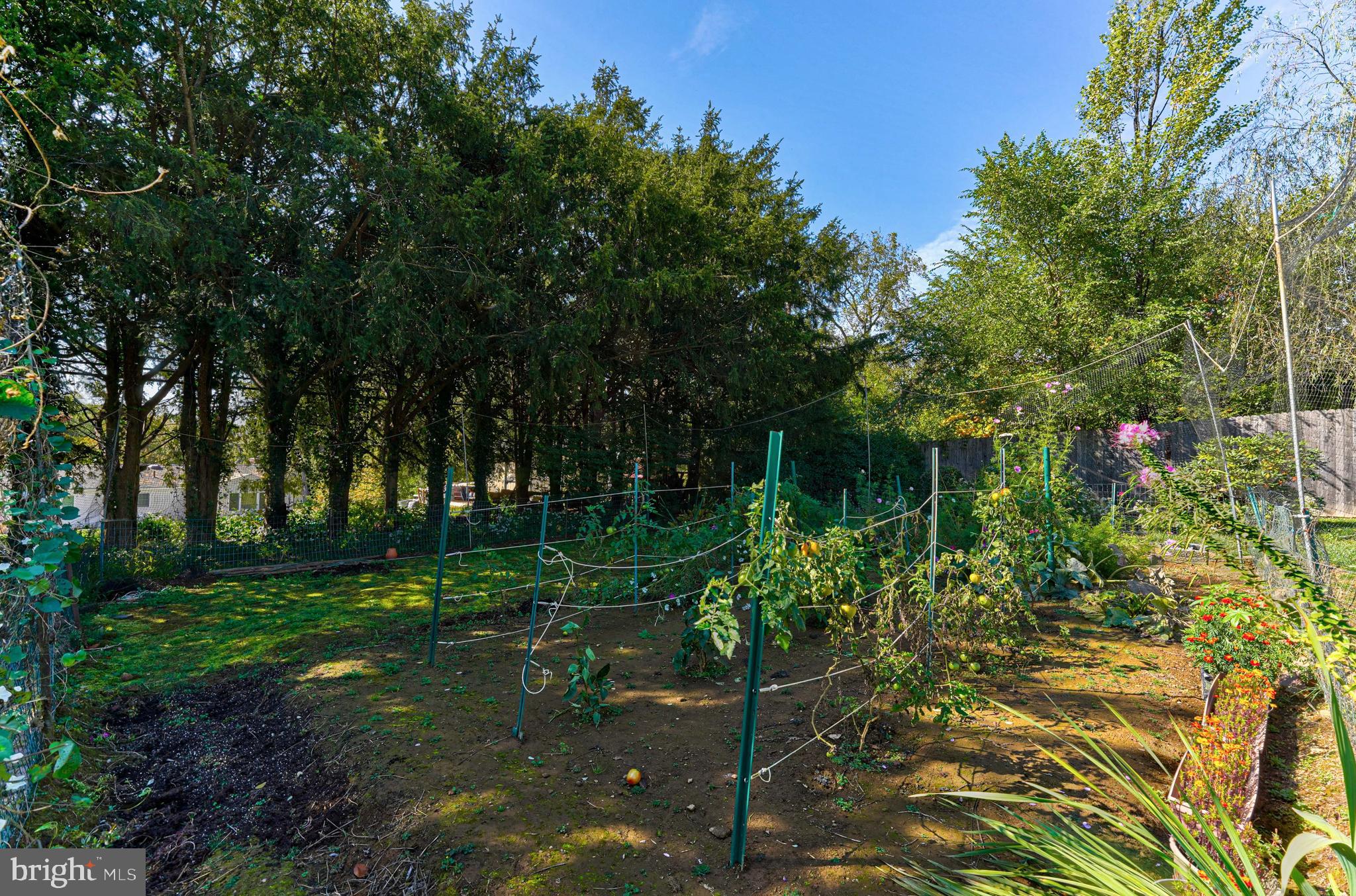3434 Tyson Road Newtown Square, PA 19073 - Photo 59 of 70 Garden