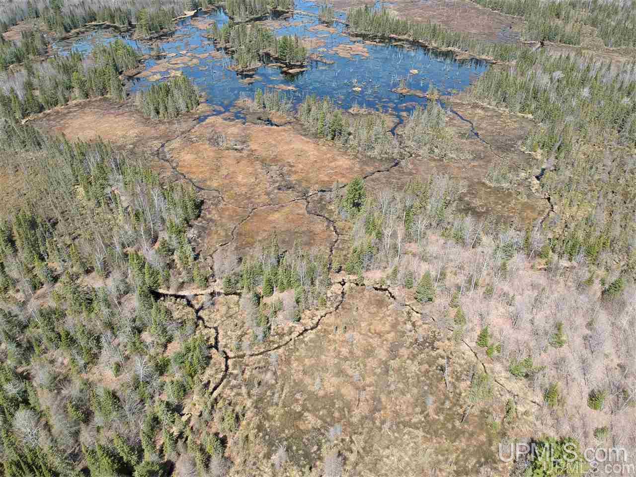 Tbd Mud Lake Road Lake Linden, MI 49945 - Photo 6 of 18